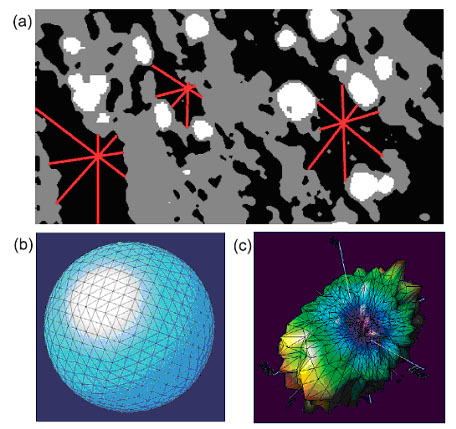 quant3D