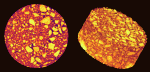 The sample has the same dimensions as 11-2. Image (below left) is once again a single CT slice, while image (below right) is a 3D volume rendering of the aggregates. The clear unevenness of the aggregate distribution would very likely result in poor pavement performance. (Samples provided by Dr. Naga Shashidar, Federal Highway Administration).