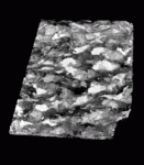 3D reconstruction of migmatitic garnet-amphibolite. Garnets and melanosomes are rendered transparent, and leucosomes rendered white. Edge length of sample is 45 mm. Nearly complete connectivity of the leucosome, not apparent in any 2D section, is evident in the 3D reconstructions. These CT data made it possible to trace the connectivity of leucosome channels, to quantify their tortuosity, to document the variations of their cross-sectional areas and minimum channel apertures, and to estimate the effective porosity in the specimen at stagnation. (Specimen courtesy of Mary Ann Brown and Dr. Michael Brown, University of Maryland.) Animation rotates sample around a horizontal axis.