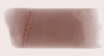3D reconstruction of an exploration drill core from the Cripple Creek District, Colorado. The core is approximately 8.25 cm in diameter and 23 cm long. Volcanic matrix is rendered partially transparent and gold-telluride mineralization appears as red specks, primarily clustered within a single plane. The core was drilled from a zone below any planned open-pit mine access, so accurate definition of the ore was critical to evaluate the economic potential of the ore zone. (Sample provided by Marc Melker, AngloGoldAshanti (Colorado) Corp.) ┬⌐2009