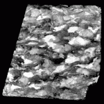 3D reconstruction of migmatitic garnet-amphibolite. Garnets and melanosomes are rendered transparent, and leucosomes rendered white. Edge length of sample is 45 mm. Nearly complete connectivity of the leucosome, not apparent in any 2D section, is evident in the 3D reconstructions. These CT data made it possible to trace the connectivity of leucosome channels, to quantify their tortuosity, to document the variations of their cross-sectional areas and minimum channel apertures, and to estimate the effective porosity in the specimen at stagnation. Sample courtesy of Mary Ann Brown and Dr. Michael Brown, University of Maryland.
