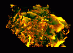 3D reconstruction of a portion of core of fractured limestone, approximately 20 mm along edge. Carbonate matrix has been rendered partially transparent green, while fracture network and void spaces are opaque yellow to red-orange. Animation rotates cube around vertical axis, displaying the interconnectivity of the fracture network. (Sample provided by Dr. Brenda Kirkland-George, University of Texas at Austin)